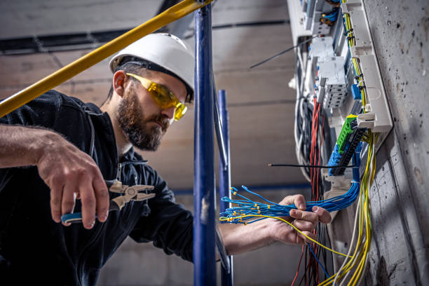 Best Electric Panel Repair  in Hebron, IL